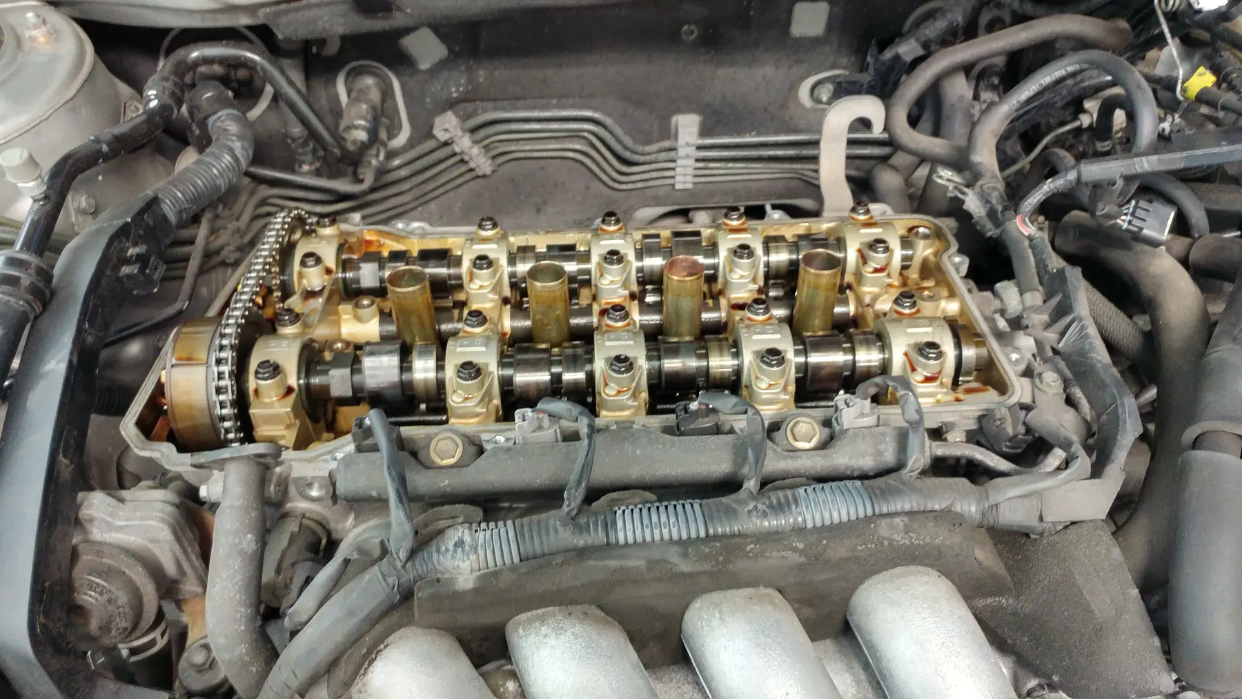 Engine with the valve cover removed, exposing two camshafts and their timing drive
