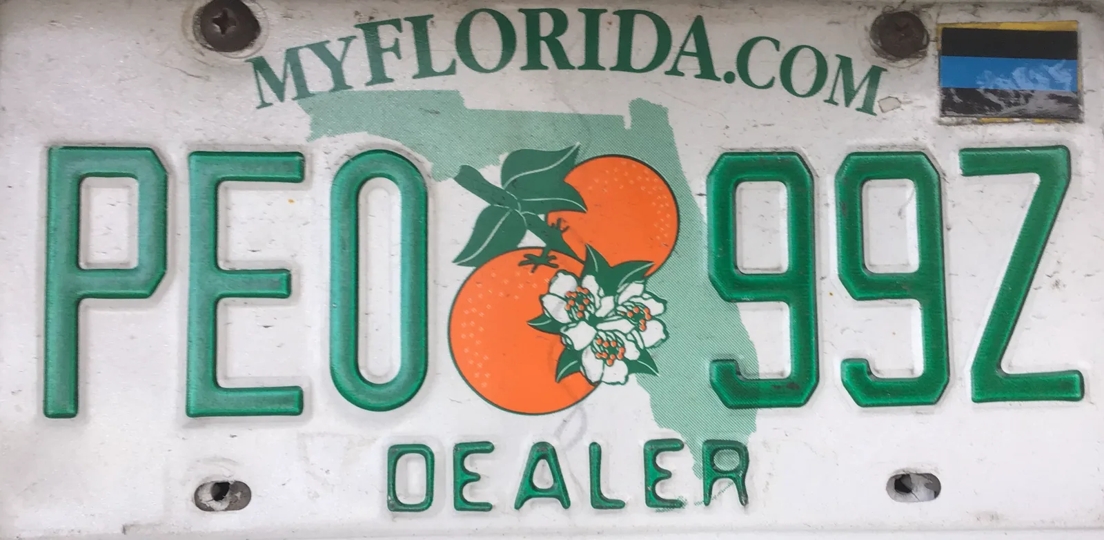 Florida dealer plate with green lettering and DEALER along the bottom