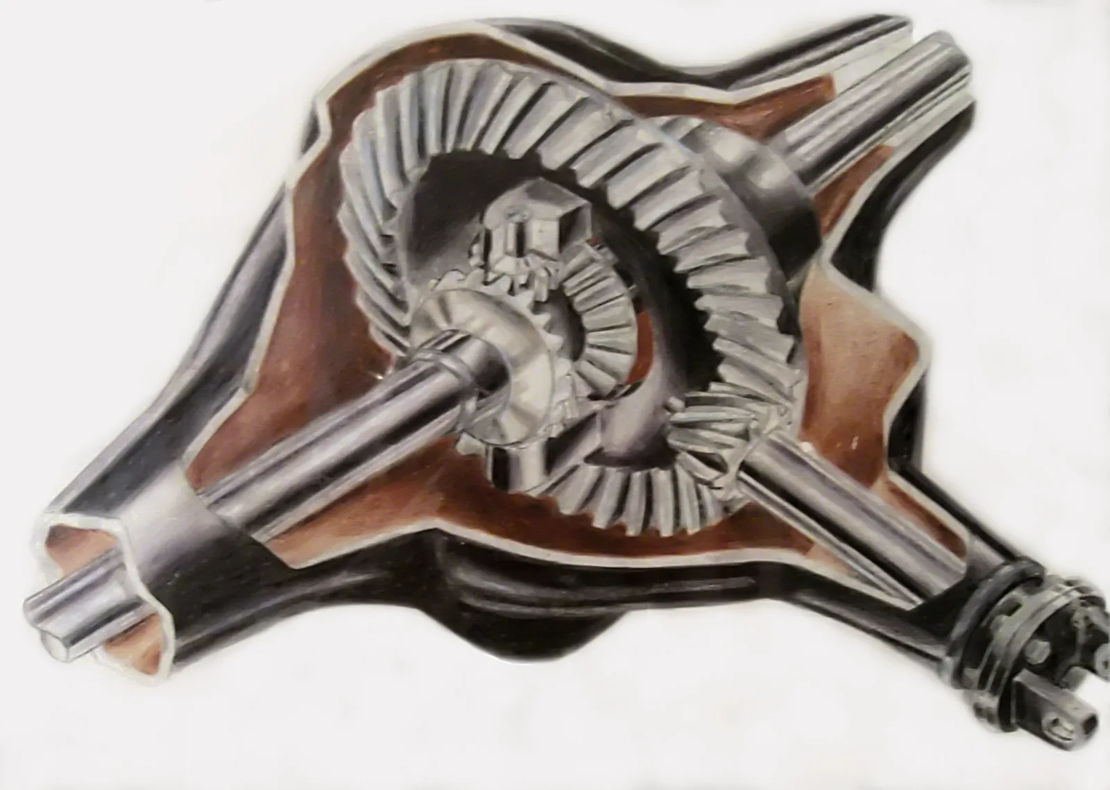 Cutaway of a rear axle: pinion on the driveshaft, ring gear, spider gears, and two axle shafts in the housing