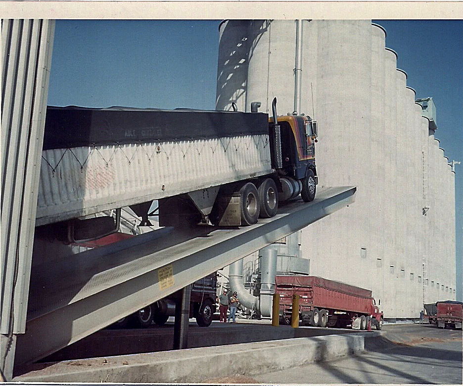 Grain trucks with covered beds lined up at an elevator, license plates not readable