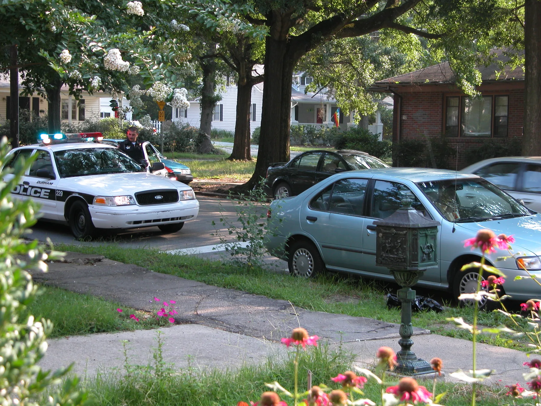 Daytime, seen from across a residential street behind a front yard. Pink coneflowers and a dark lantern-style post are in the foreground. A white Ford sedan police car marked DURHAM POLICE with the number 229 is parked at the left with its blue and red light bar lit. An officer in a dark uniform stands beside the cruiser's open driver door. A light blue-green sedan is parked at the curb in the right foreground with a person in the driver's seat, and a black sedan is parked behind it. A brick house, white houses, and large trees with white blossoms are behind.