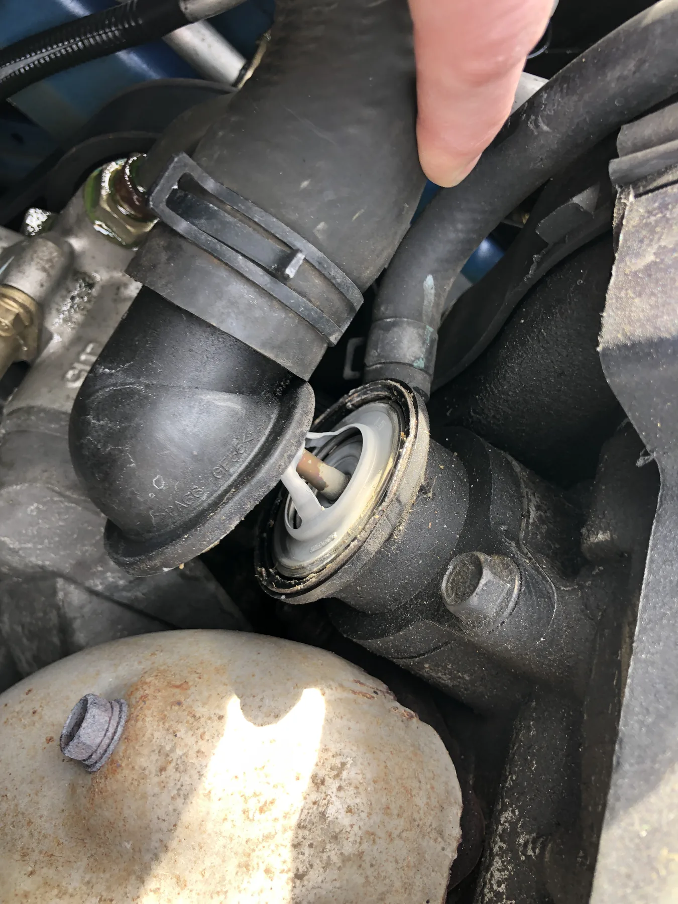 Thermostat seated in a black housing with the radiator hose pulled back