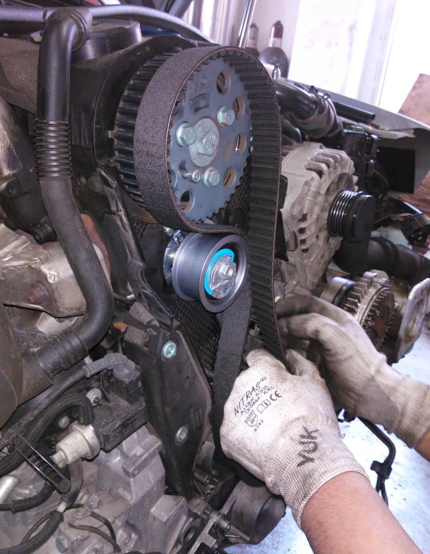 Workshop, cover off. A black toothed belt runs over a blue-gray metal sprocket held by three hex bolts, and the smooth back of the belt rides a smooth pulley with a bright blue ring. Two hands in gray knit work gloves, one printed NITRAS, hold the belt. Black hoses are at the left, and daylight is in the background.