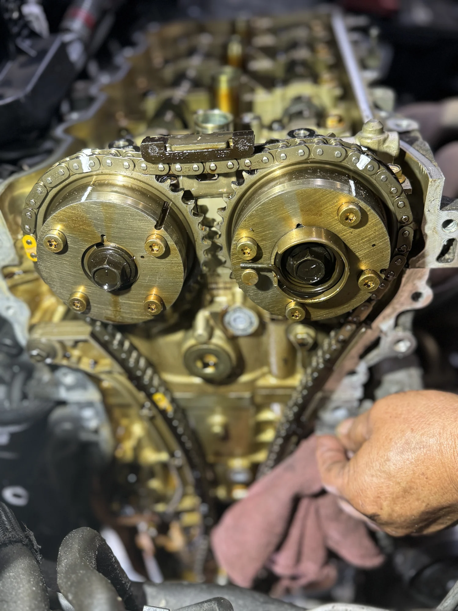 Toyota Camry DOHC head with a timing chain around both cam sprockets, cover off